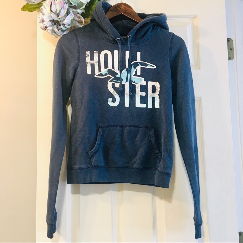 HOLLISTER (HCo.) Graphic Hoodie - Small (S)
